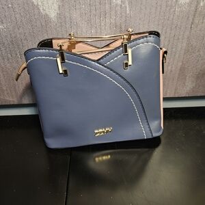 Chic Blue and Pink Mini Bag
